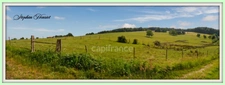Terrain à vendre de 31 710,00 m² BOULT AUX BOIS (08)
