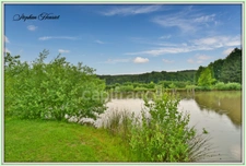 Terrain à vendre de 31 710,00 m² BOULT AUX BOIS (08)