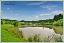 Terrain à vendre de 31 710,00 m² BOULT AUX BOIS (08)