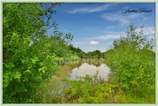 Terrain à vendre de 31 710,00 m² BOULT AUX BOIS (08)