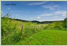 Terrain à vendre de 31 710,00 m² BOULT AUX BOIS (08)