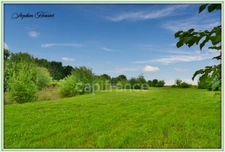 Terrain à vendre de 31 710,00 m² BOULT AUX BOIS (08)