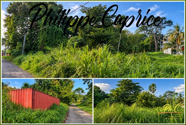 Terrain 2 370 m² – Dumaine – Le François – Zone U5