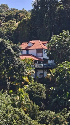 🏡 Villa avec studio indépendant, piscine et fort potentiel – Le François (Morne Acajou)