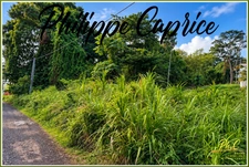 Terrain 2 370 m² – Dumaine – Le François – Zone U5