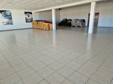 Dpt Vosges (88), à vendre proche MIRECOURT  - Immeuble 'Haut Standing' avec habitation T6, local, garages Terrain