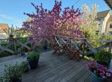 MAISON à vendre 8 pièces VITTEL (88) dont 4 appartements sur 1 095 m² de TERRAIN 