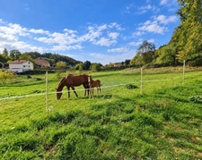 Propriété MAISON à vendre 8 pièces à EPINAL (88) avec DEPENDANCES sur 6262 m2 de TERRAIN