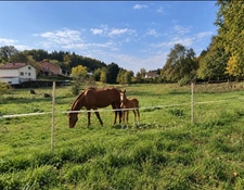 Propriété MAISON à vendre 8 pièces à EPINAL (88) avec DEPENDANCES sur 6262 m2 de TERRAIN