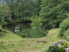 PROPERTY for sale: 20 rooms near REMIREMONT (88) on 2.4 hectares with a POND and SPRING