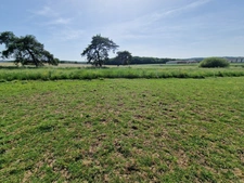 PROPERTY for sale, 8 rooms, near NANCY (54) on 2.5 HECTARES - AGRICULTURAL PROPERTY with renovated FARMHOUSE, OUTBUILDINGS, STABLES, BARNS 