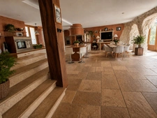 Maison à vendre 6 pièces MIRECOURT (88) MAISON d'EXCEPTION avec PISCINE SPA TERRAIN