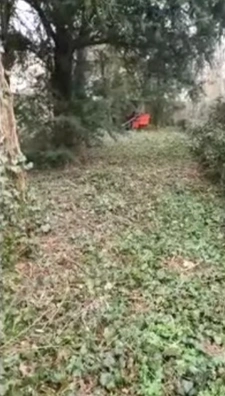 Dpt Vosges (88), à vendre MIRECOURT terrain avec ancienne maisonnette à renover et garage