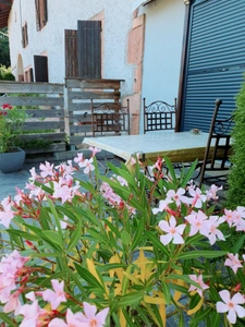 Dpt Vosges (88), for sale near GERARDMER - DOMAIN - renovated FARM T6 + 3 GITES - Spe INVESTORS