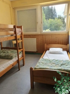 PROPERTY for sale: 20 rooms near REMIREMONT (88) on 2.4 hectares with a POND and SPRING