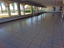 Dpt Vosges (88), à vendre proche MIRECOURT  - Immeuble 'Haut Standing' avec habitation T6, local, garages Terrain