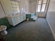 ENSEMBLE IMMOBILIER ( MAISON T6 + GRANDES DEPENDANCES ) à vendre 5 pièces (SH. 251 m2) proche CONTREXEVILLE (88) sur TERRAIN de 1102 m2