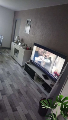 Immeuble axe NANCY / EPINAL -  MAISON de 2 APPARTEMENTS avec GARAGES / TERRAIN de 476 m2