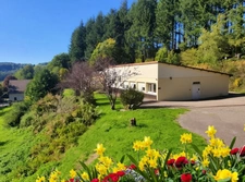 PROPRIETE vendre 20 pièces proche de REMIREMONT (88) sur 2,4 ha avec ETANG, SOURCE