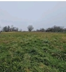 Property for sale 7 rooms near EPINAL (88) Renovated FARM + HANGAR/GARAGE + 5000 m2 of LAND 