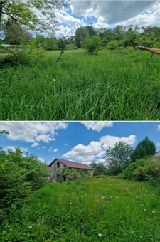 Farmhouse to renovate / Barn in the Lamarche area (88) with land - Ideal for a craftsman
