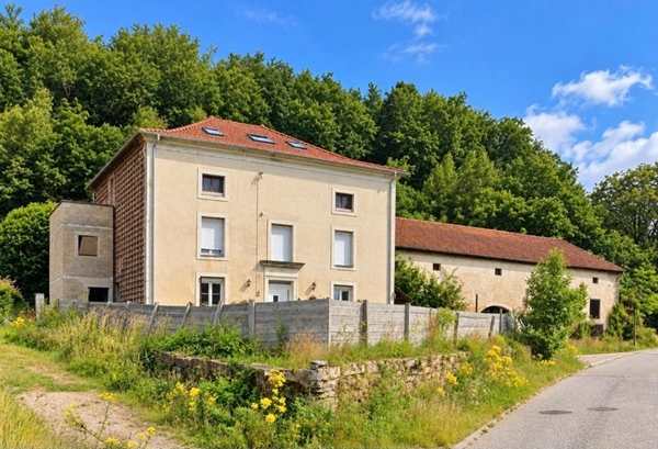 Propriété MAISON à vendre 8 pièces à EPINAL (88) avec DEPENDANCES sur 6262 m2 de TERRAIN