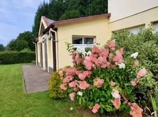 PROPERTY for sale: 20 rooms near REMIREMONT (88) on 2.4 hectares with a POND and SPRING