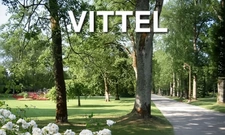 MAISON à vendre VITTEL (88) Possibilité création 2 appartements T2 et T3 sur TERRAIN de 400 m2