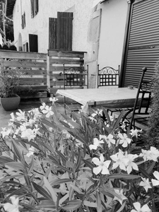 Dpt Vosges (88), for sale near GERARDMER - DOMAIN - renovated FARM T6 + 3 GITES - Spe INVESTORS