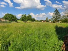 Dpt Vosges (88), à vendre proche CONTREXEVILLE - FERME LORRAINE à réhabiliter / Terrain env 4000 m2