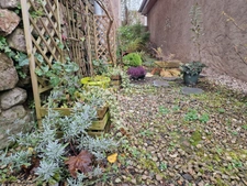 Immeuble à vendre proche SCHIRMECK - IMMEUBLE de 3 APPARTEMENTS T3 + 2 GARAGES