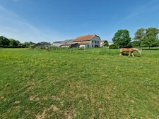PROPERTY for sale, 8 rooms, near NANCY (54) on 2.5 HECTARES - AGRICULTURAL PROPERTY with renovated FARMHOUSE, OUTBUILDINGS, STABLES, BARNS 