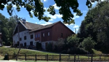 Dpt Vosges (88), for sale near GERARDMER - DOMAIN - renovated FARM T6 + 3 GITES - Spe INVESTORS