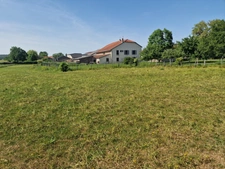 PROPERTY for sale, 8 rooms, near NANCY (54) on 2.5 HECTARES - AGRICULTURAL PROPERTY with renovated FARMHOUSE, OUTBUILDINGS, STABLES, BARNS 