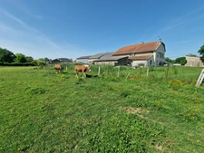 PROPRIÉTÉ à vendre 8 pièces proche NANCY (54) sur 2,5 HECTARES - PROPRIÉTÉ AGRICOLE avec FERME rénovée, DEPENDANCES, ECURIES, GRANGES 
