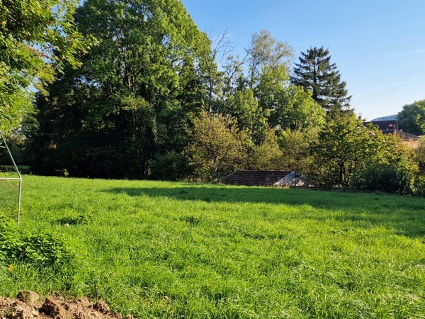 Terrain de loisirs boisé à vendre  proche de VITTEL (88)