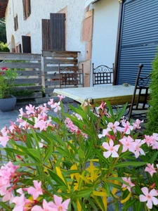Dpt Vosges (88), for sale near GERARDMER - DOMAIN - renovated FARM T6 + 3 GITES - Spe INVESTORS