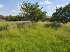 Dpt Vosges (88), à vendre proche CONTREXEVILLE - FERME LORRAINE à réhabiliter / Terrain env 4000 m2