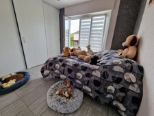 Maison à vendre 5 pièces proche CONTREXEVILLE (88) avec TERRASSE  GARAGE et TERRAIN clos
