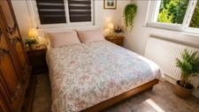 5-room house for sale in the suburbs of Epinal (88) with swimming pool, garage, and pond on 2600 m² of land 