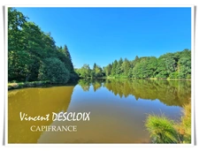 Terrain 19 965m² avec étang à vendre  GIEN SUR CURE (58230)