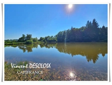 Terrain 19 965m² avec étang à vendre  GIEN SUR CURE (58230)