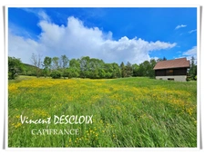 Maison à vendre 5 pièces MISSERY (21210) sur 9500m² de terrain sans voisins.