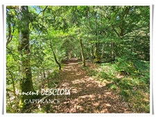 Terrain 19 965m² avec étang à vendre  GIEN SUR CURE (58230)