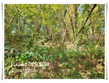 Maison à vendre 6 pièces ALLIGNY EN MORVAN (58230) Terrain 12 200m²