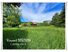 Maison à vendre 5 pièces MISSERY (21210) sur 9500m² de terrain sans voisins.