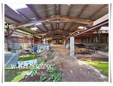 Maison à vendre 5 pièces MISSERY (21210) sur 9500m² de terrain sans voisins.