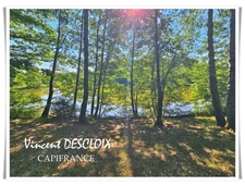 Terrain 19 965m² avec étang à vendre  GIEN SUR CURE (58230)
