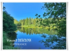 Terrain 19 965m² avec étang à vendre  GIEN SUR CURE (58230)