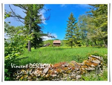 Maison à vendre 5 pièces MISSERY (21210) sur 9500m² de terrain sans voisins.